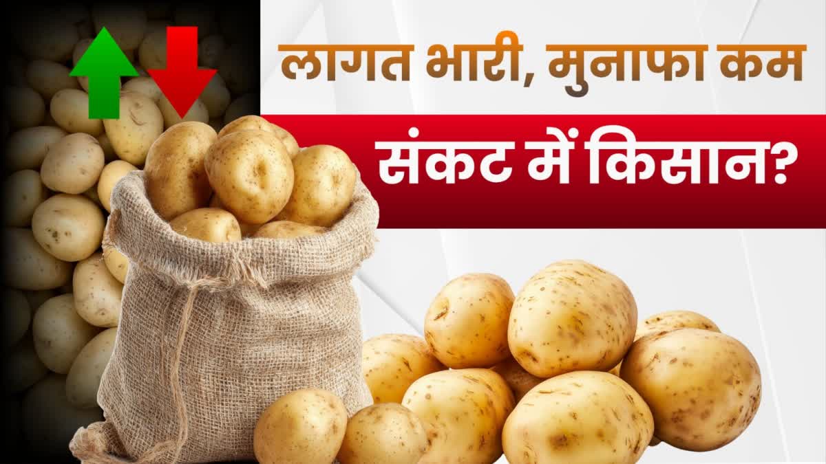 Potato farmers