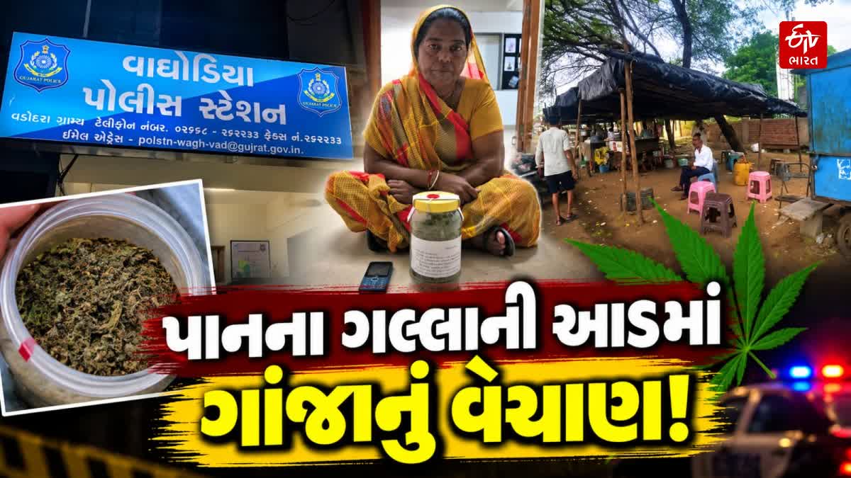 વડોદરા ગ્રામ્યમાં ‘ઓપરેશન પરાક્રમ’ હેઠળ કાર્યવાહી