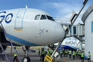 Indigo Flight Hits Pole