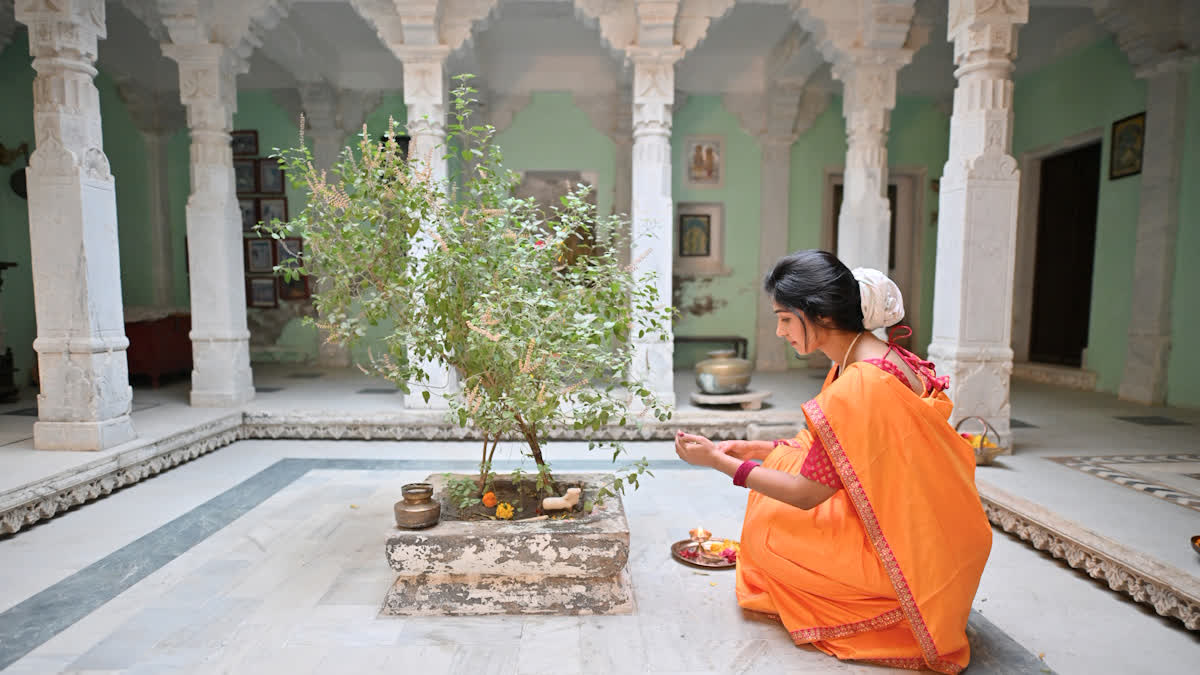 Tulasi plant Importance and Benifits