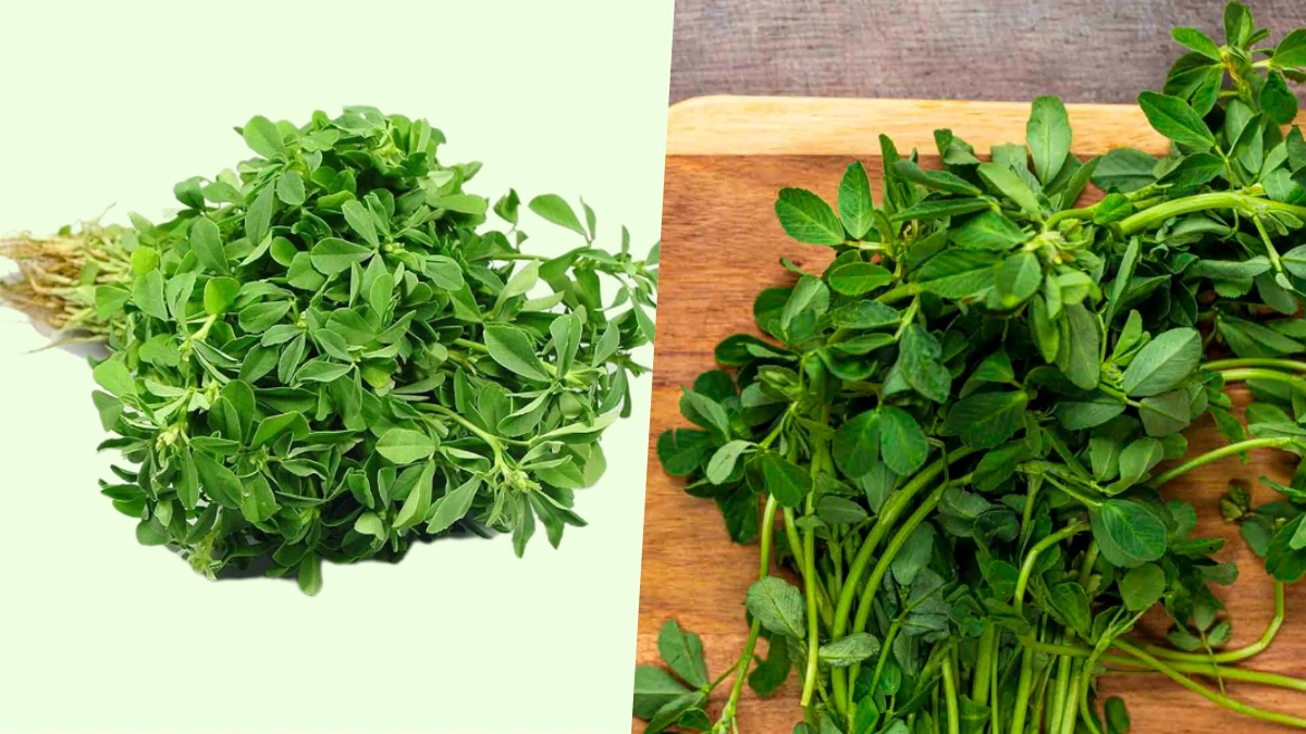 Top 6 Winter Greens Packed with Nutrients: Add These Superfoods to Your Diet