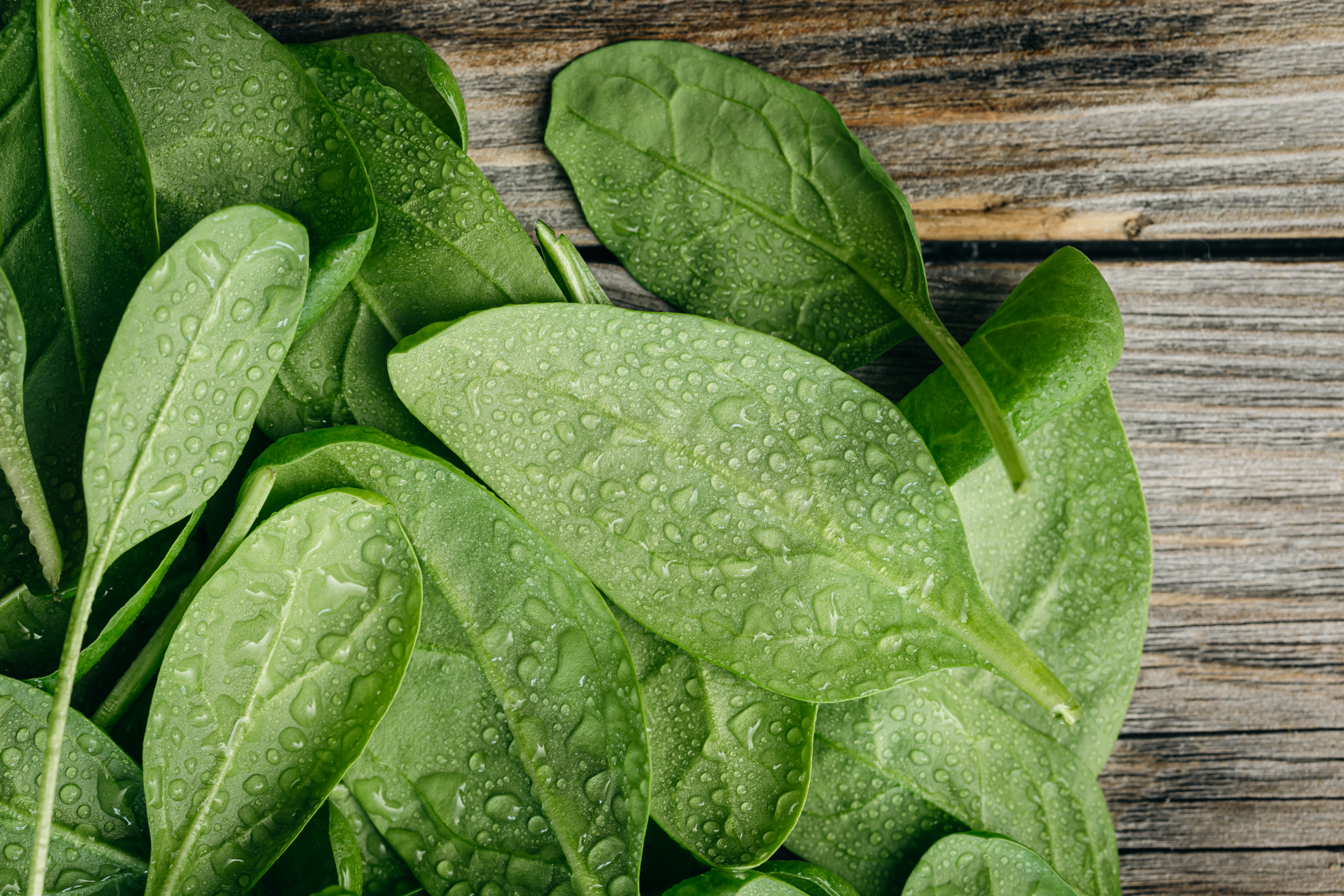 Top 6 Winter Greens Packed with Nutrients: Add These Superfoods to Your Diet