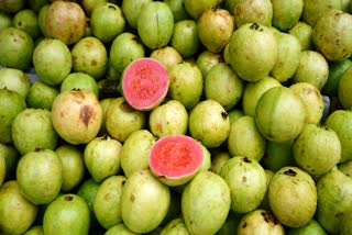 கோப்புப்படம்