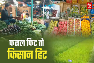 Agriculture and Farming in Chhattisgarh
