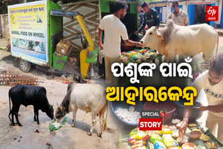 5 rupee Food Stall for Stray Animals in Bhubaneswar Offers Nutritious Meals