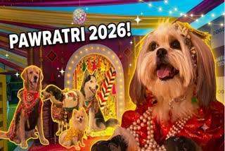 પરંપરાગત વેશમાં ગરબાના તાલે ઝૂમ્યા શ્વાન