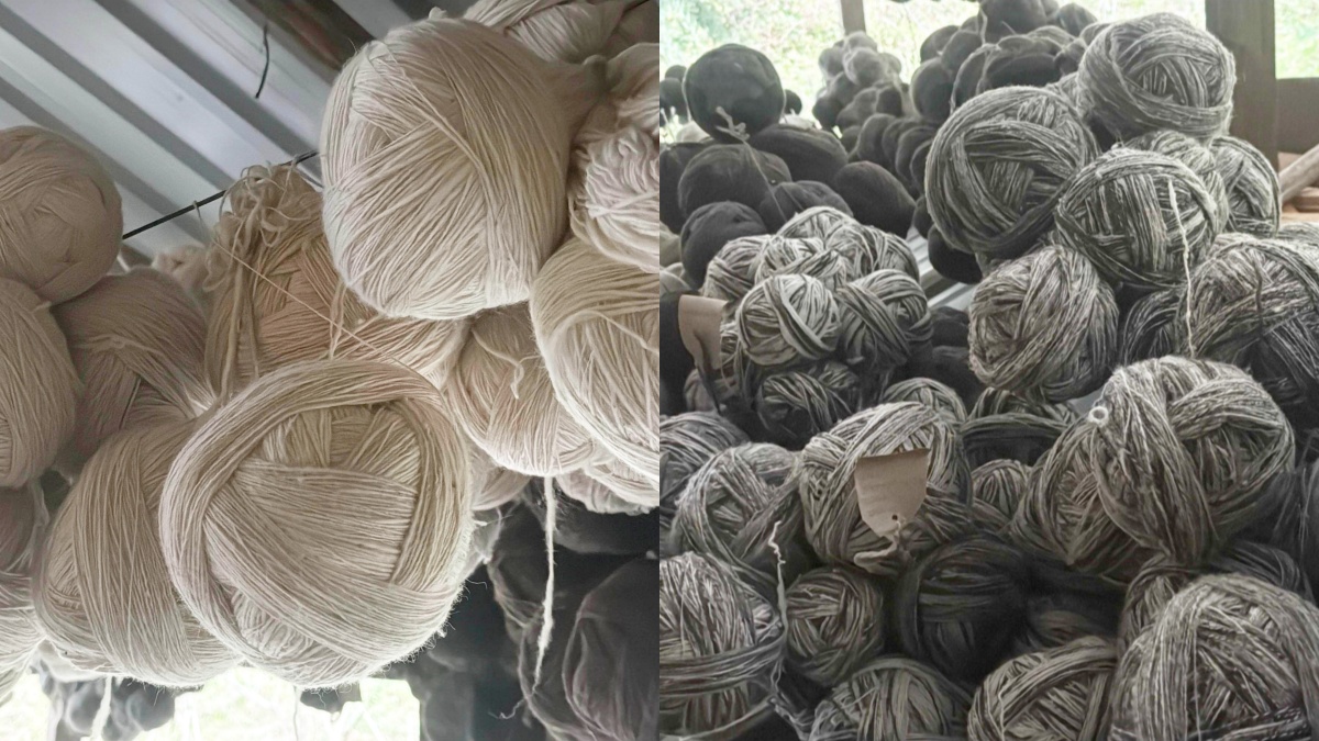 How Kullu’s Women Are Weaving A Global Future With Indigenous Wool, Natural Dyes