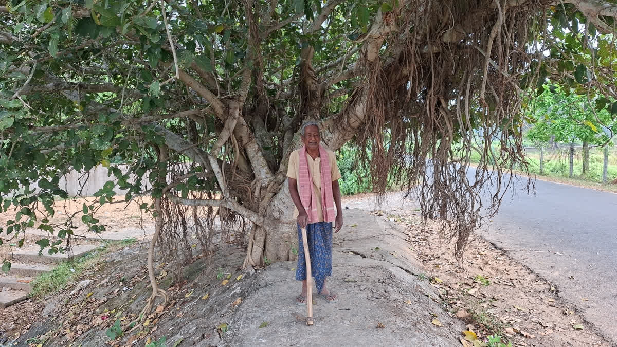 At 85, Kendrapara’s ‘Tree Man’ Has Planted Thousands Of Trees Without Government Support