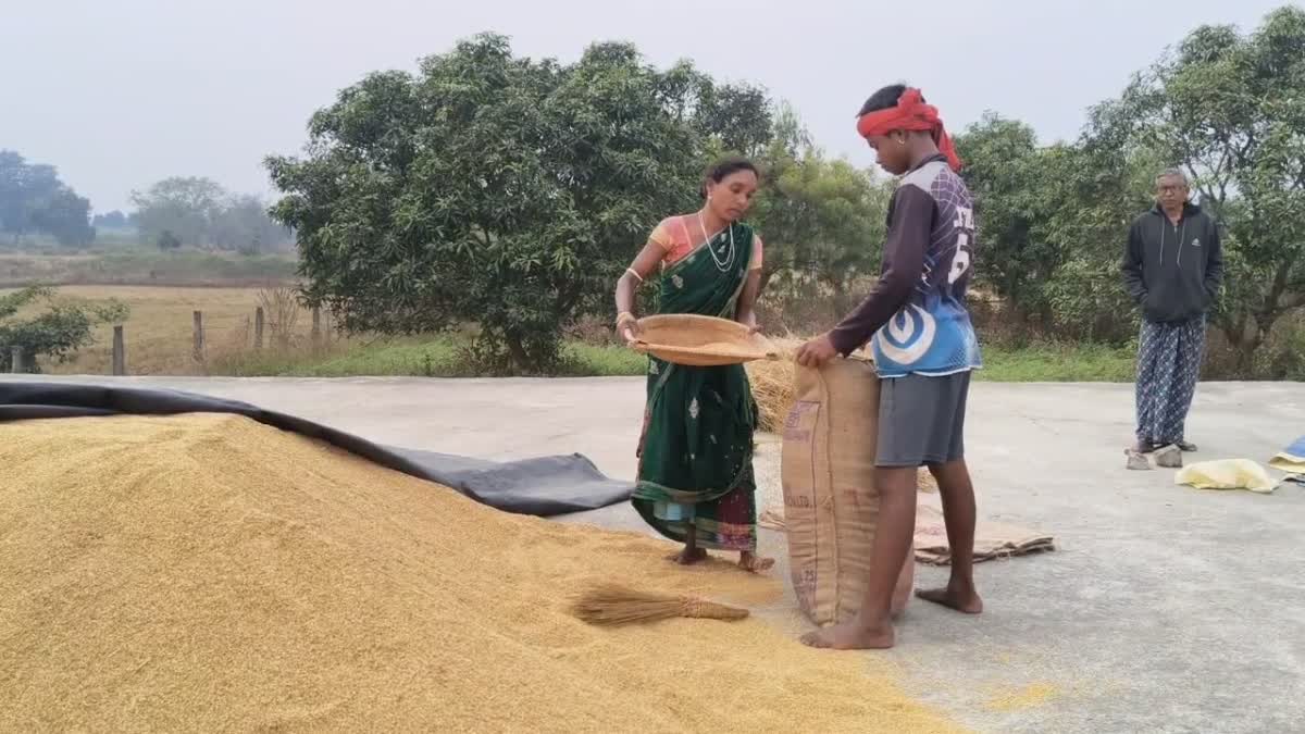 Farmers worried about paddy procurement