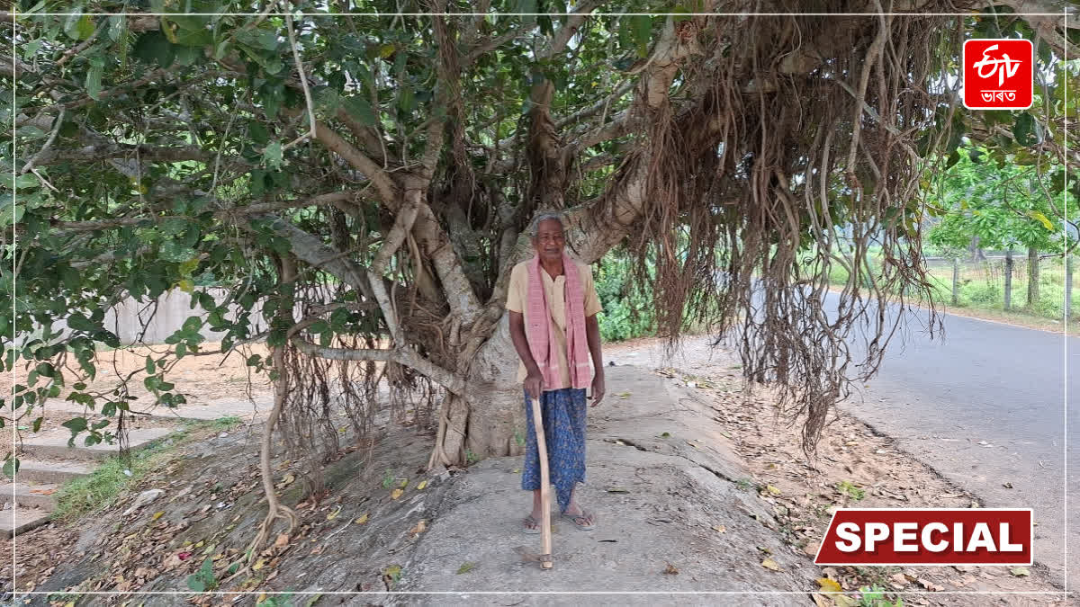 Tree Man Dhaneshwar Barik