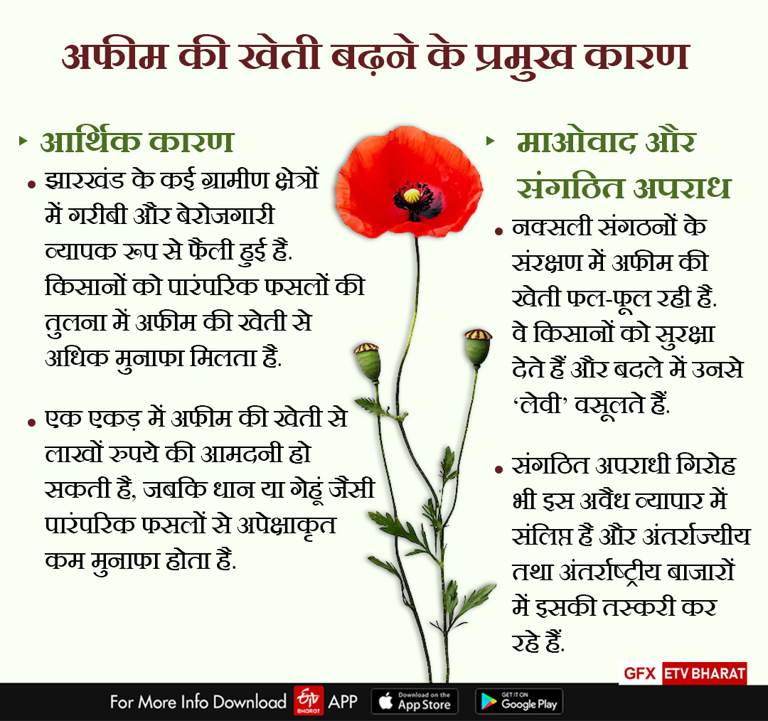 SMUGGLING OF DODA OPIUM