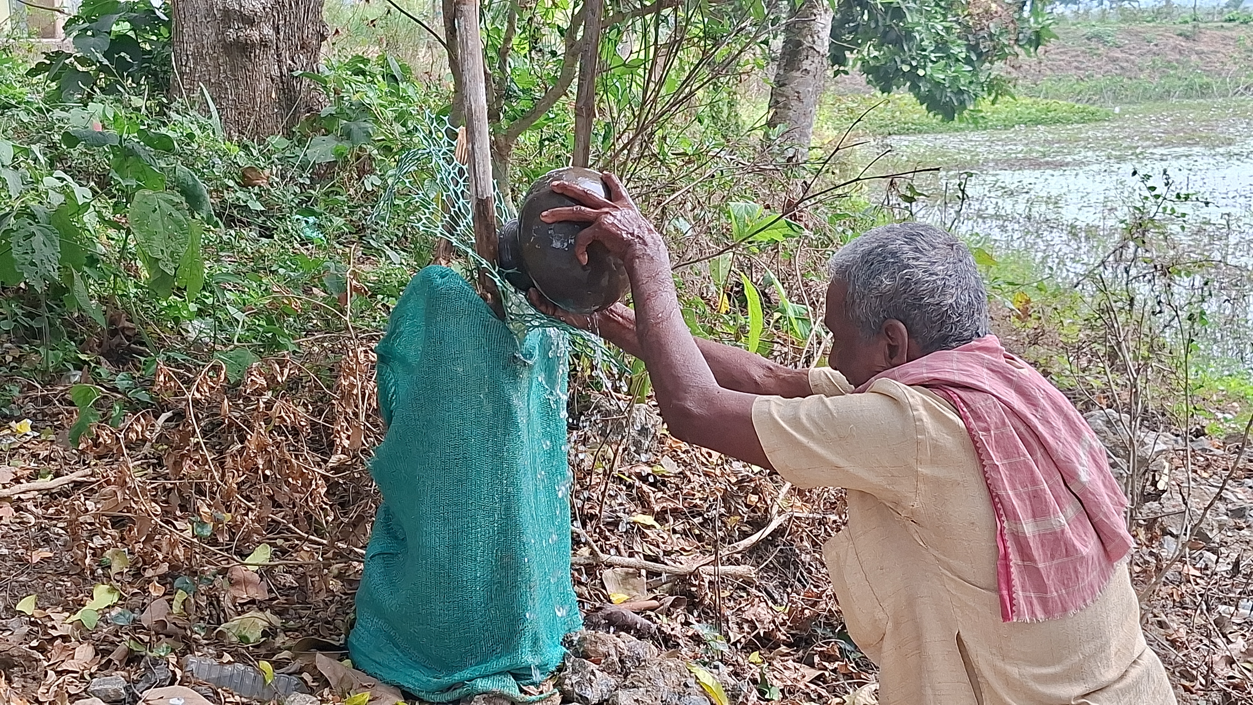 Tree Man Dhaneshwar Barik