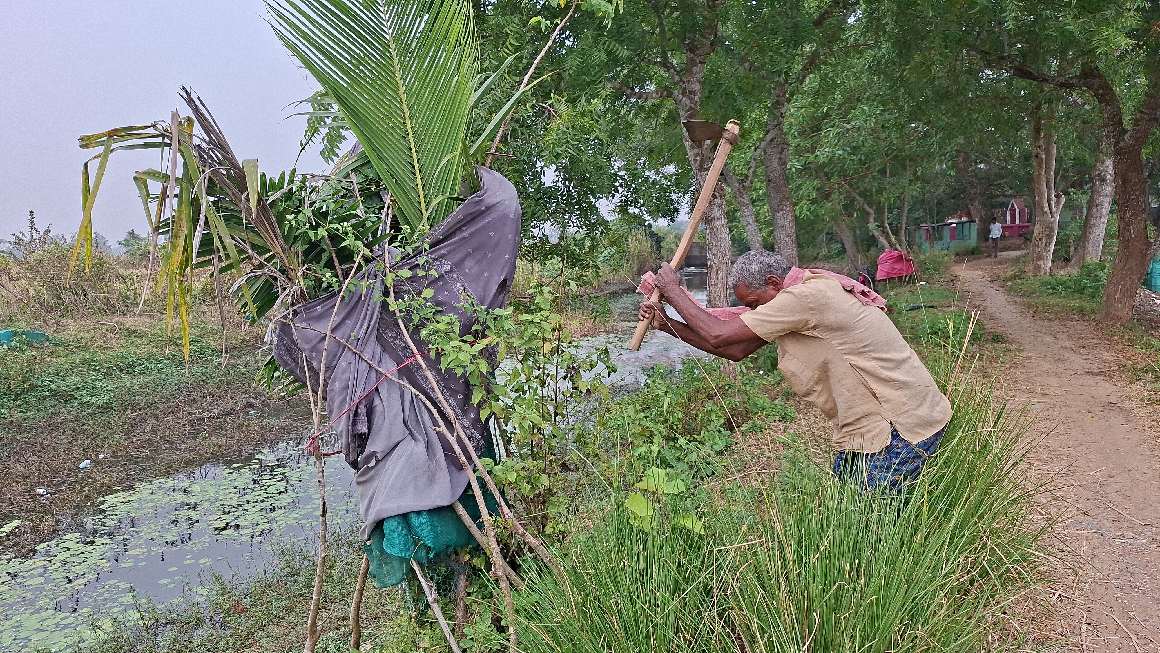 Tree Man Dhaneshwar Barik