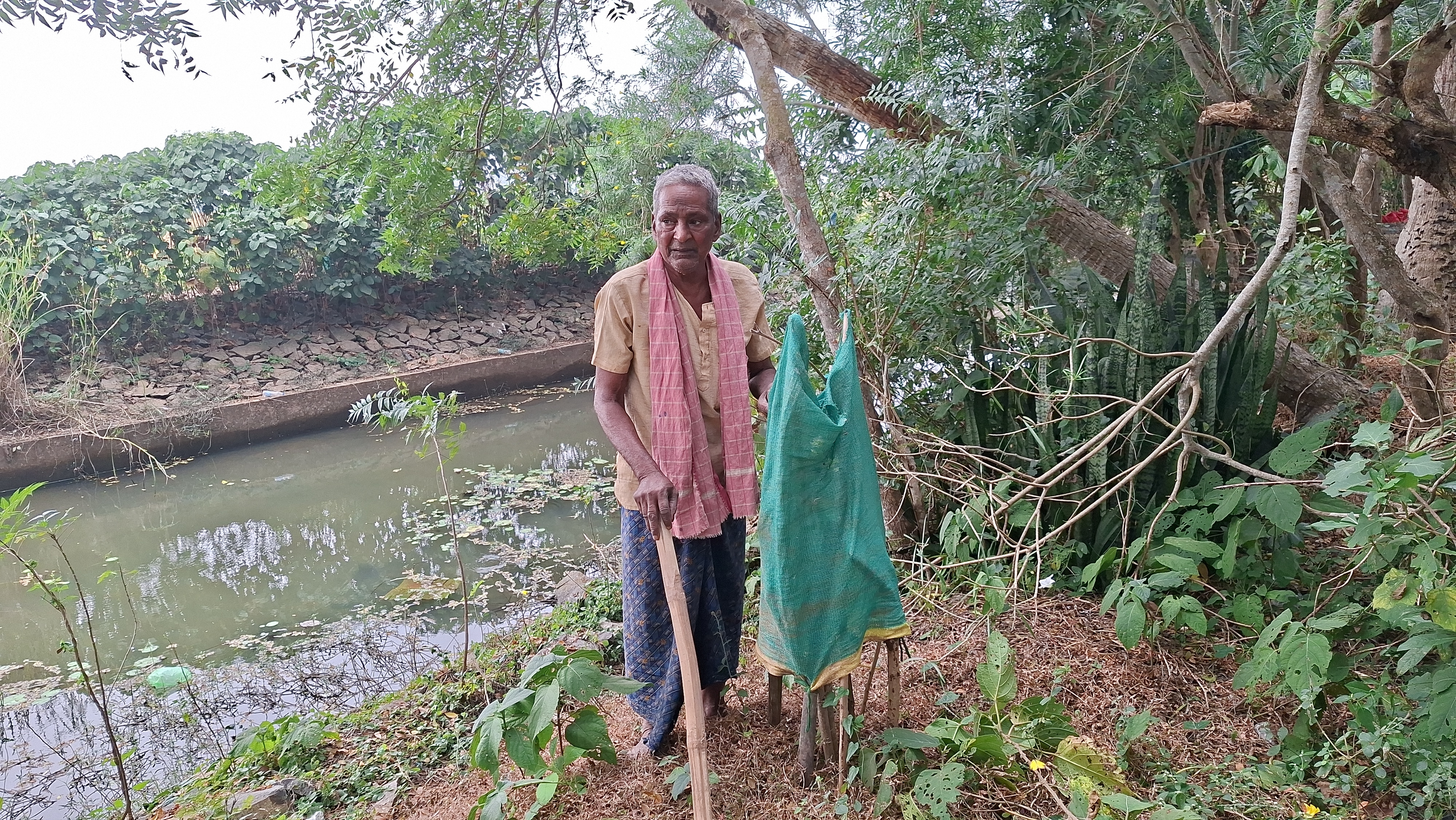 Tree Man Dhaneshwar Barik
