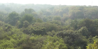 Aravalli Hills In Danger, Delhi-NCR Pollution Could Worsen, Say Environmentalists After SC Accepts 100-Metre Definition