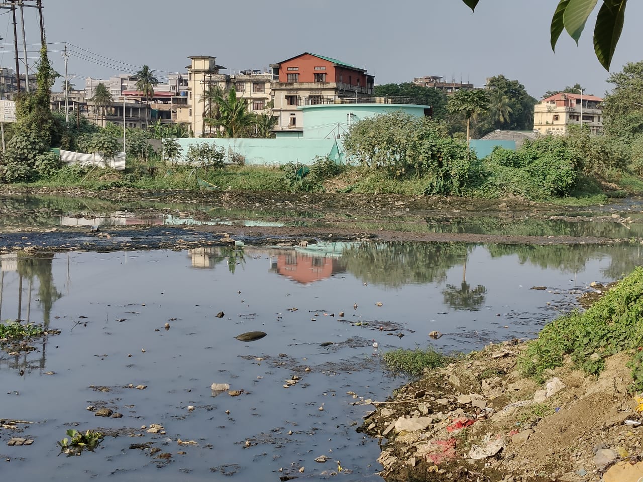 wetland in Guwahati