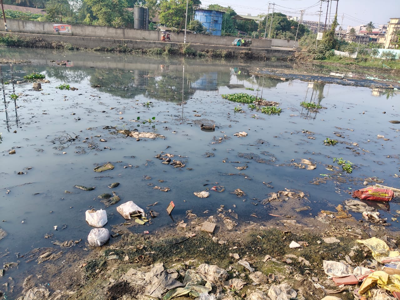 wetland in Guwahati