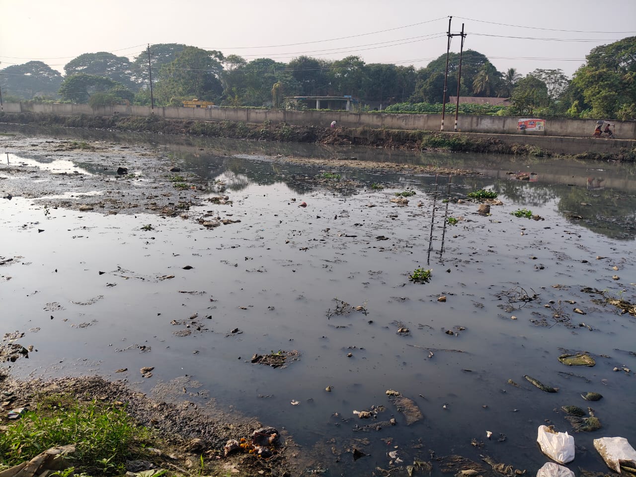 wetland in Guwahati