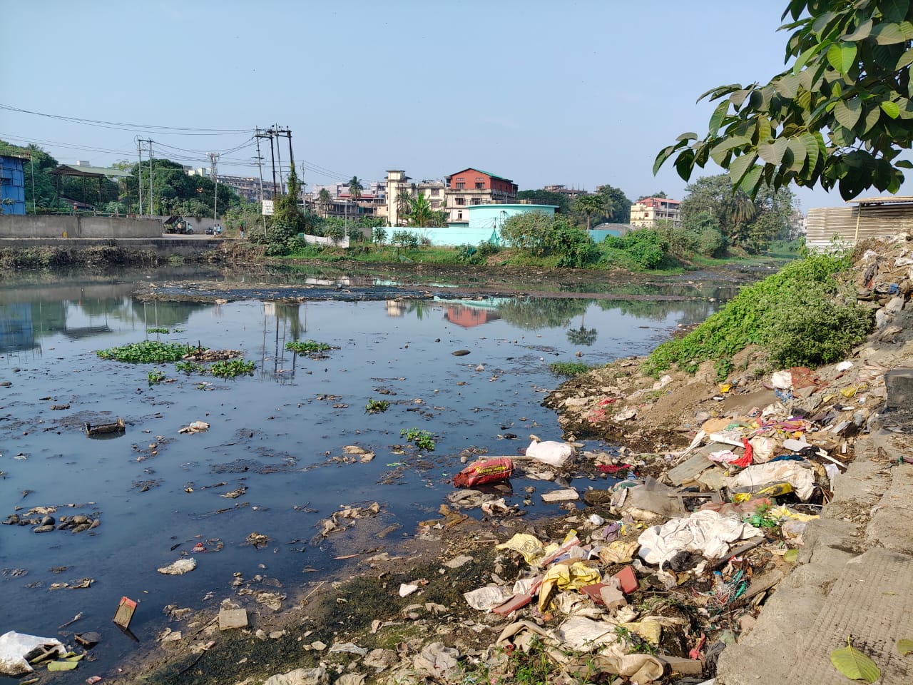 wetland in Guwahati