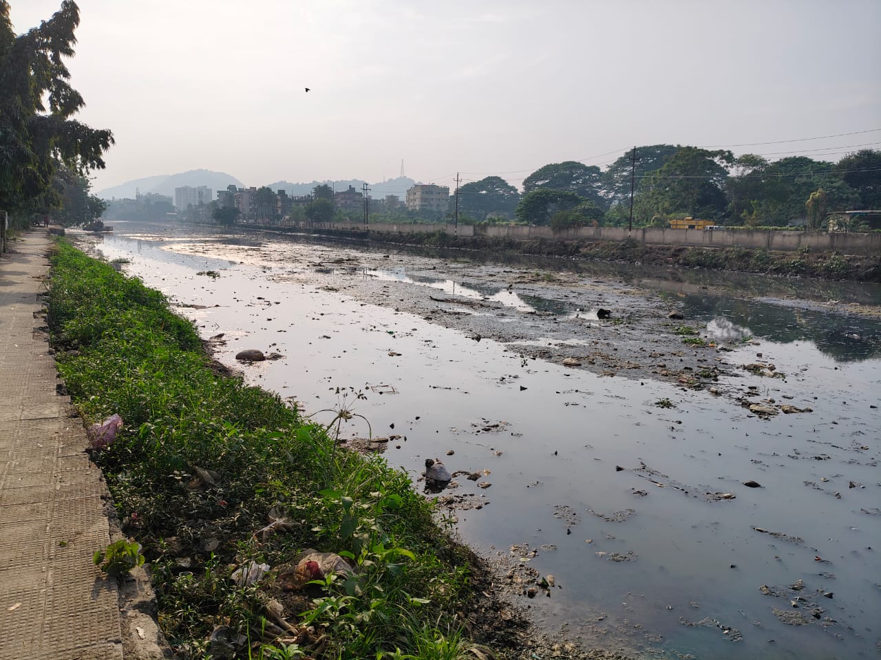 wetland in Guwahati