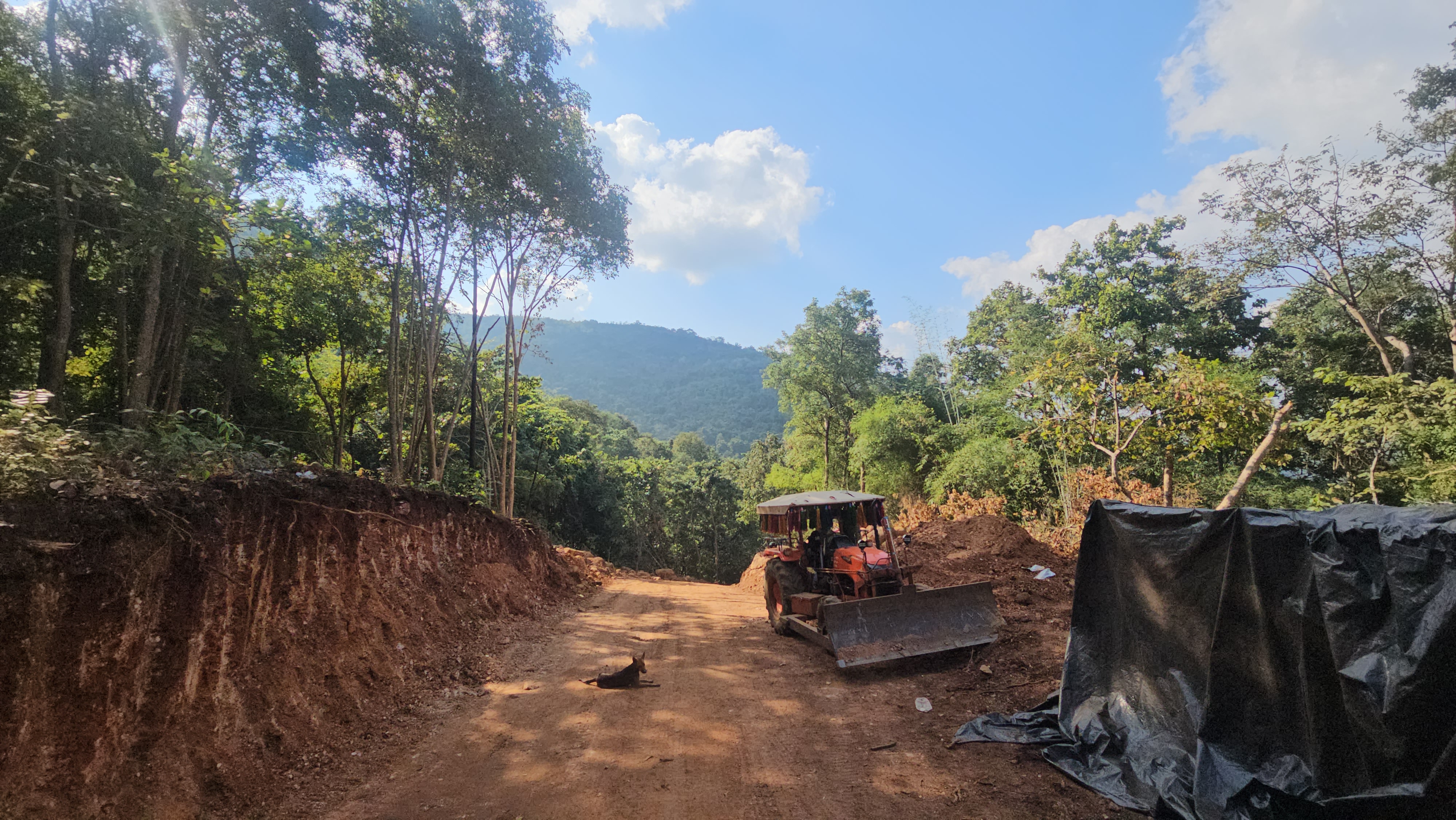 Gogunda freed from Naxal clutches