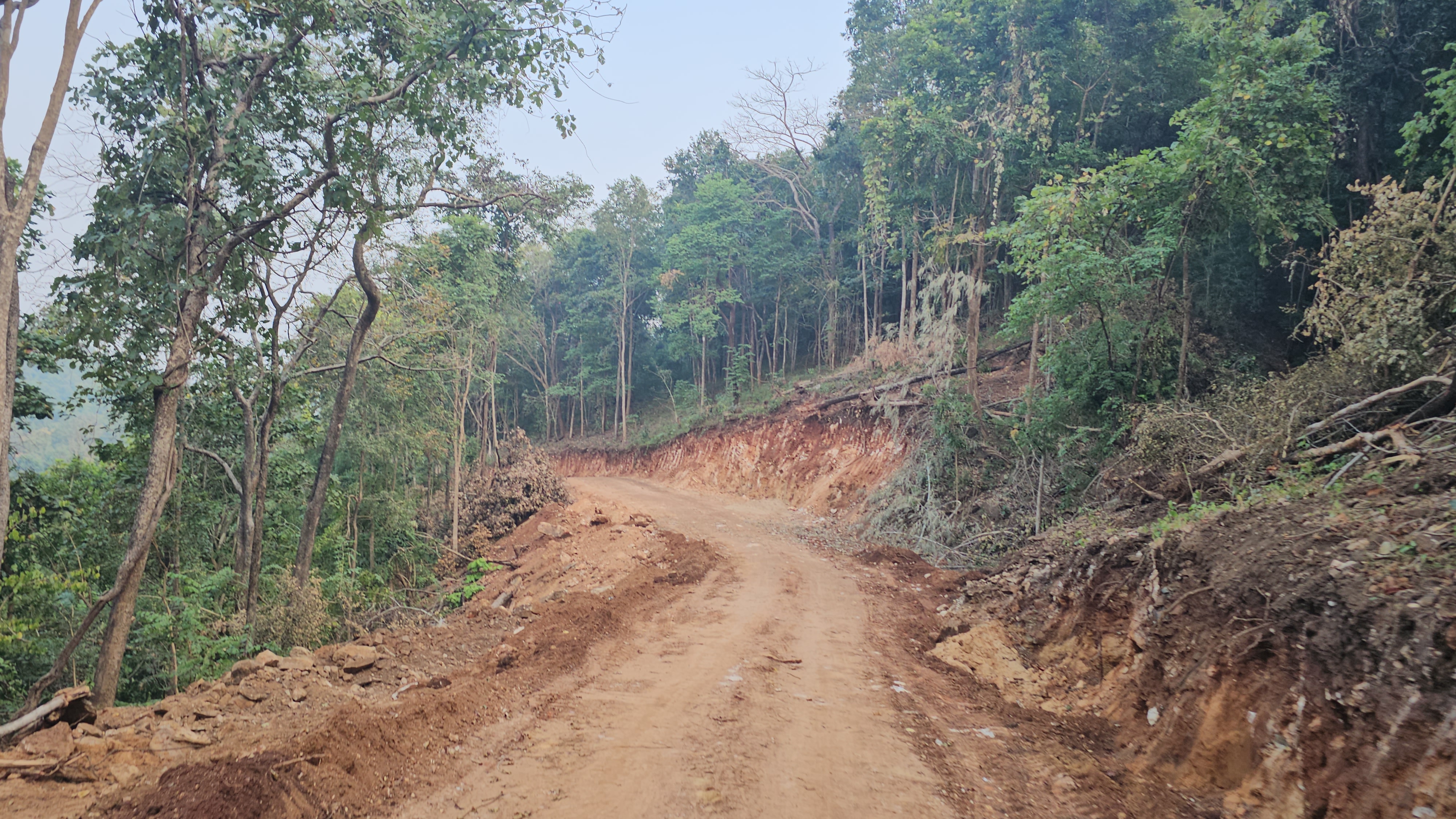 Gogunda freed from Naxal clutches