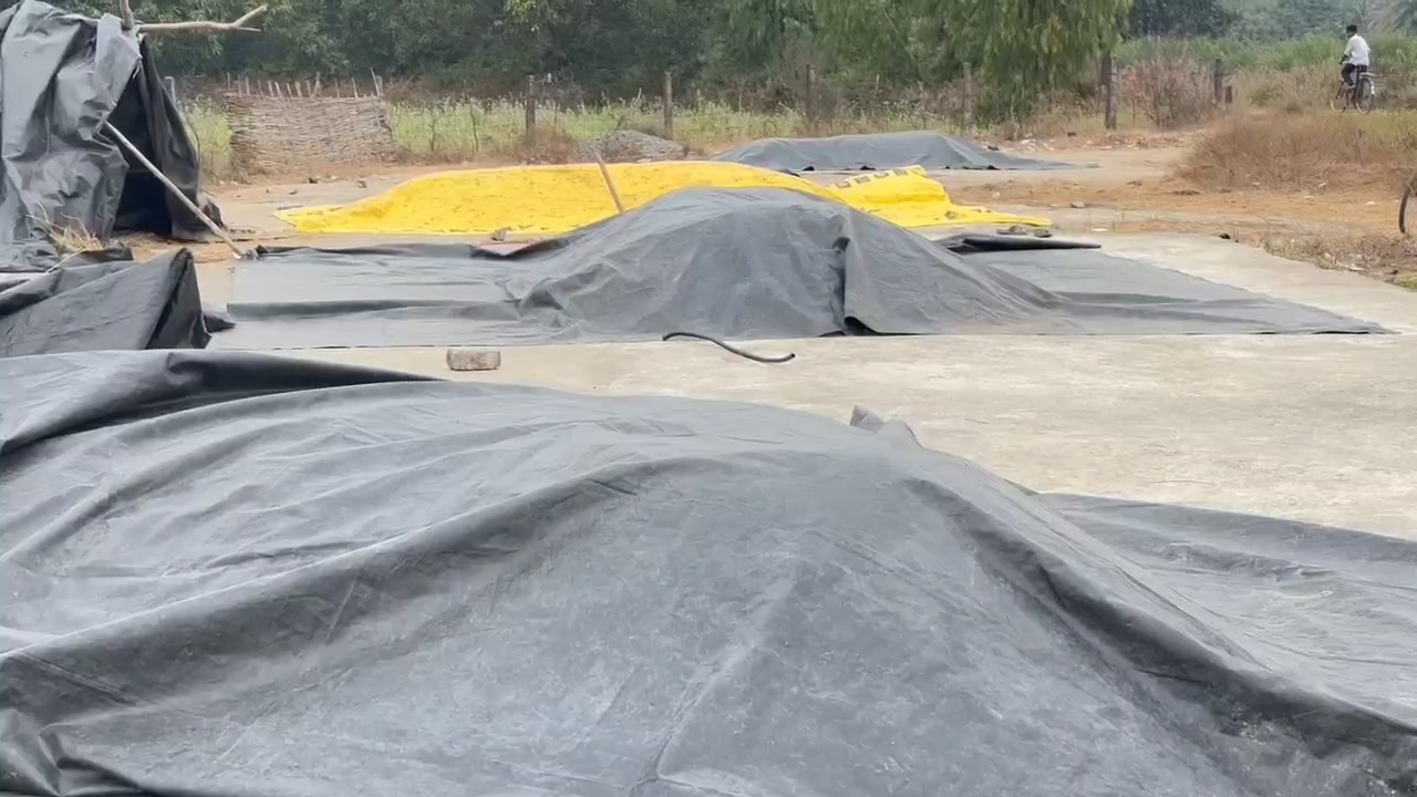 Farmers worried about paddy procurement