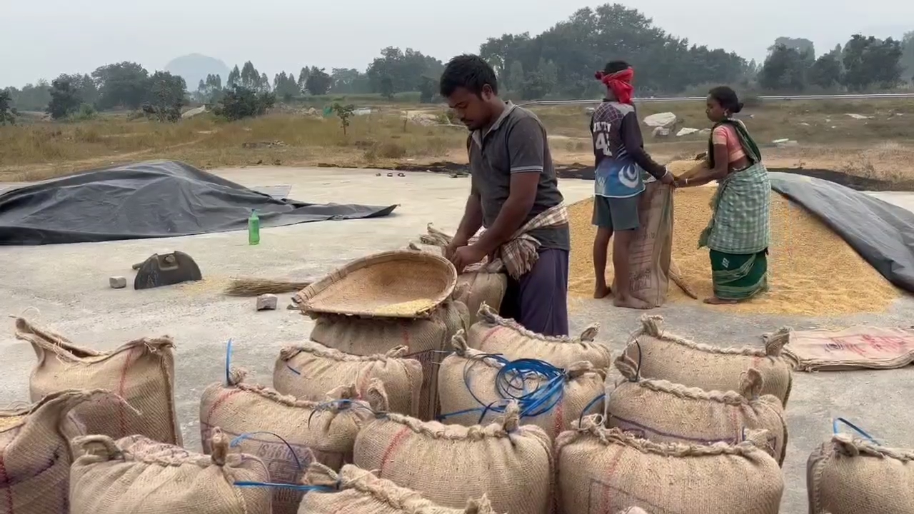 Farmers worried about paddy procurement