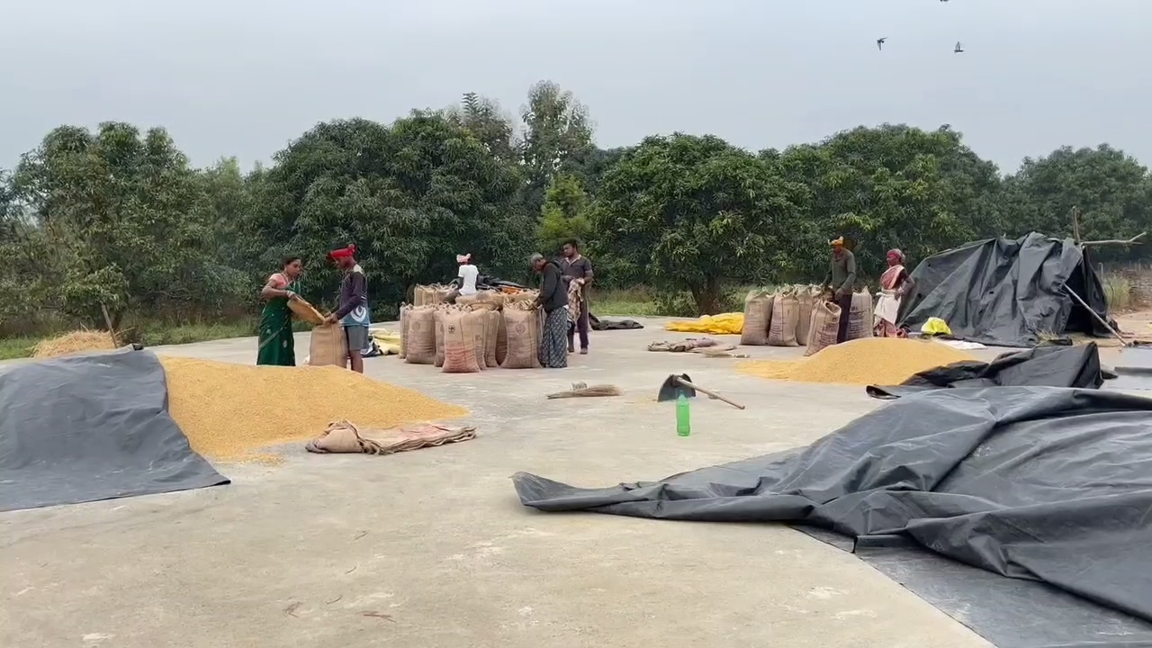 Farmers worried about paddy procurement