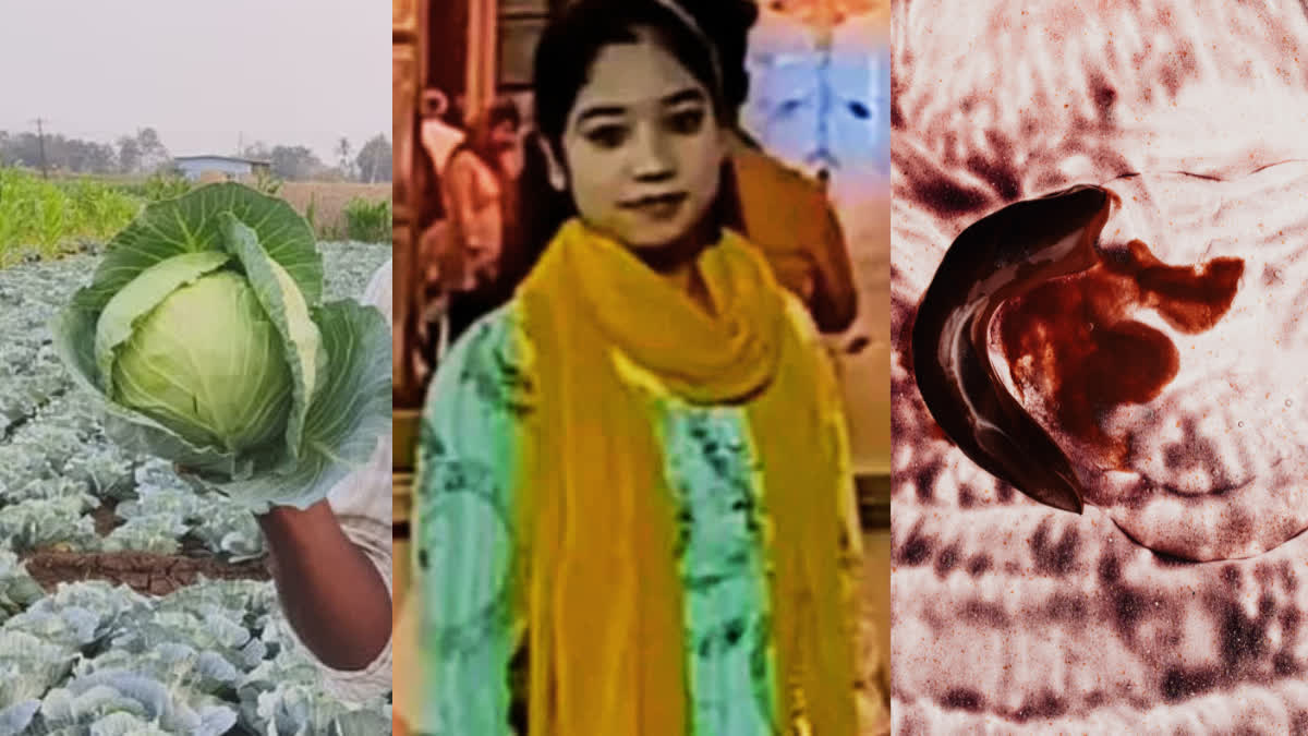 HOW DANGEROUS TAPEWORM CAN BE  CABBAGE WORM ENTERS BRAIN  AMROHA STUDENT DIES  STUDENT DIES DUE TO FAST FOOD