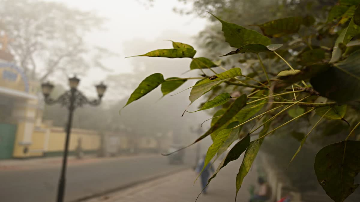 WEST BENGAL WEATHER UPDATE