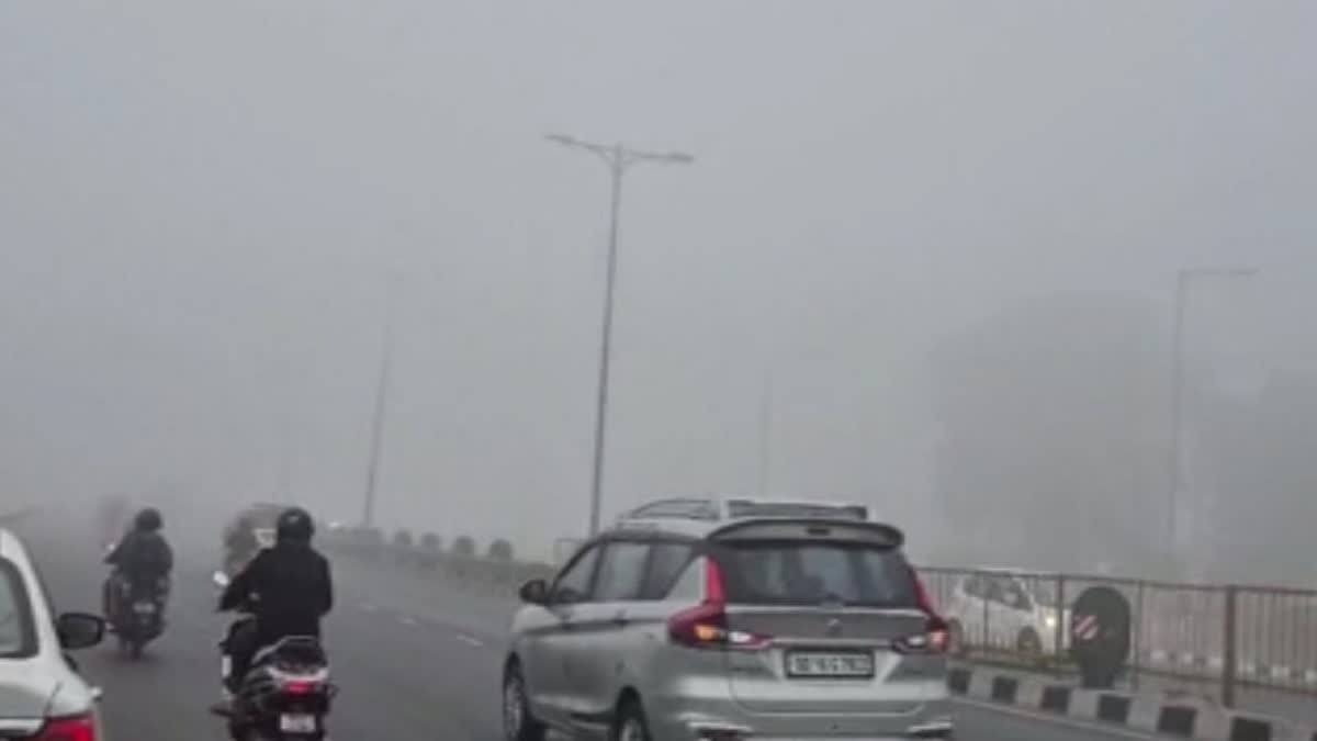 ରାଜ୍ୟରେ ଶୀତ ଲହରୀ ଜାରି; ଉପକୂଳ ଓଡ଼ିଶାର ପ୍ରାୟତଃ ଜିଲ୍ଲାରେ ଘନ କୁହୁଡ଼ିର ଚାଦର