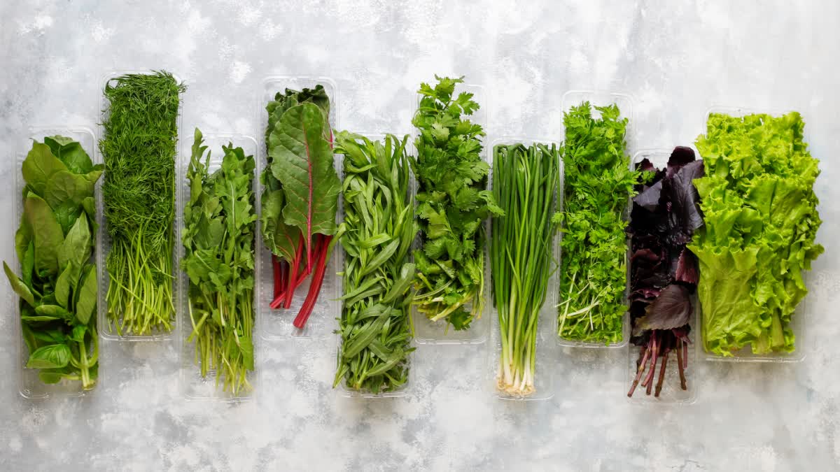 Amazing Winter Benefits of Powerful Assamese Green Herbs and Leafy Greens