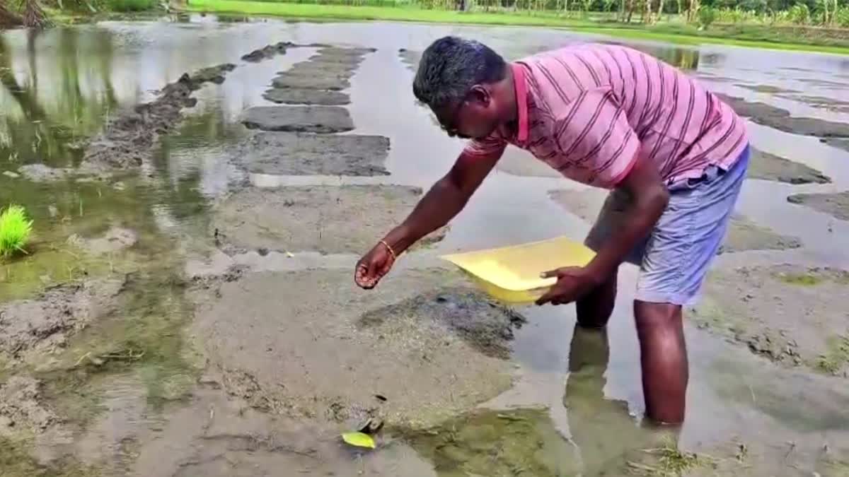Natural Farming in Chittoor District