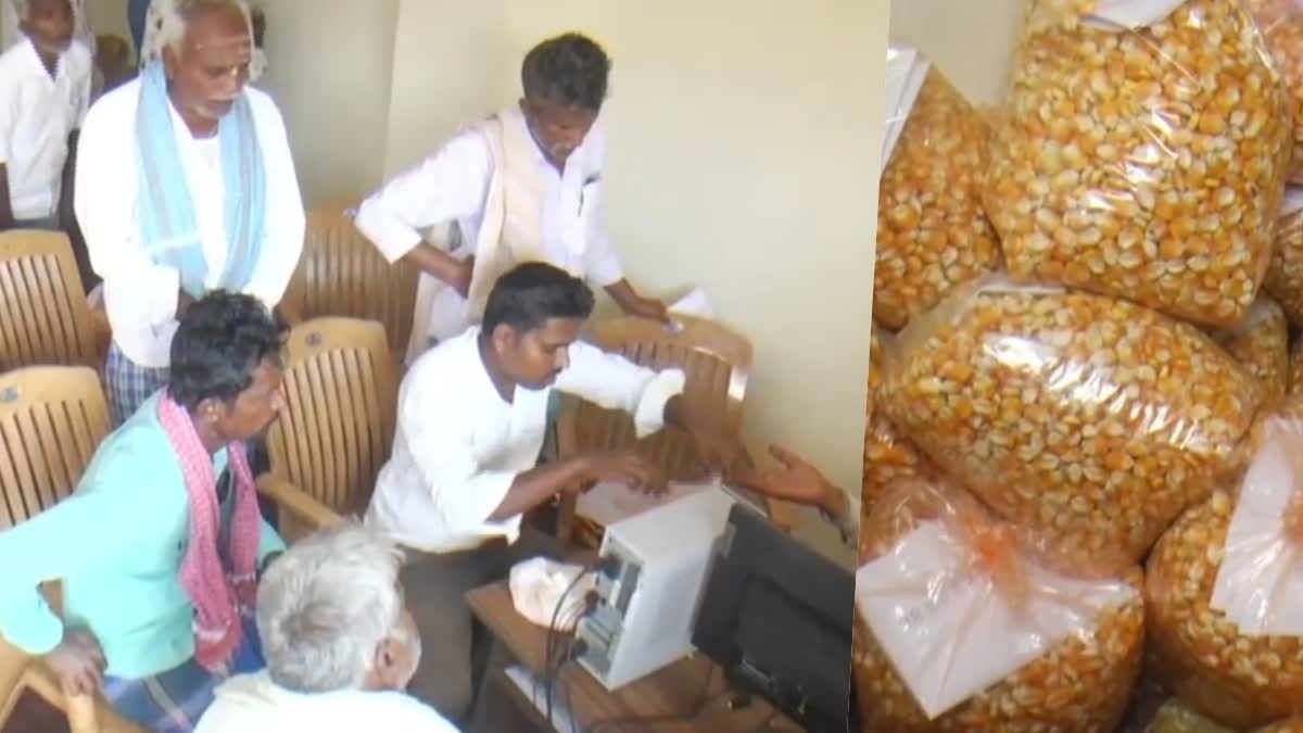 Farmers in Haveri district are in trouble due to support price