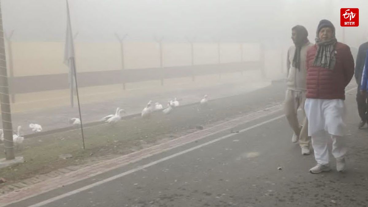 कानपुर में सुबह के वक्त का नजारा.