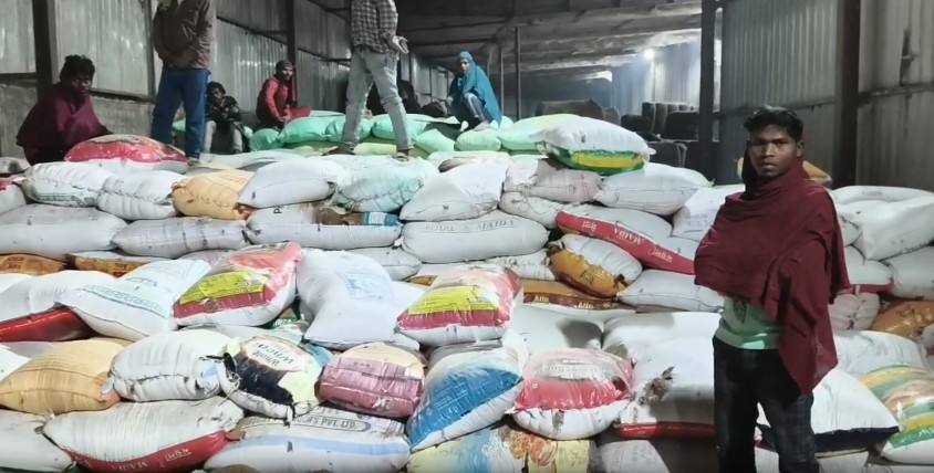 Large quantities of paddy Seized allegedly sourced from Jharkhand stockpiled in Mayurbhanj