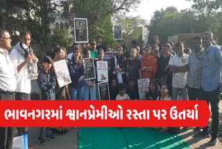 ભાવનગરમાં શ્વાન પ્રેમીઓએ રસ્તા પર ઉતરી વિરોધ નોંધાવ્યો
