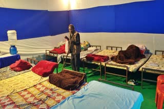 permanent and temporary shelter homes