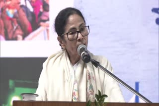 Mamata Banerjee on SIR