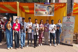 JABALPUR PUPPY ADOPTION DRIVE