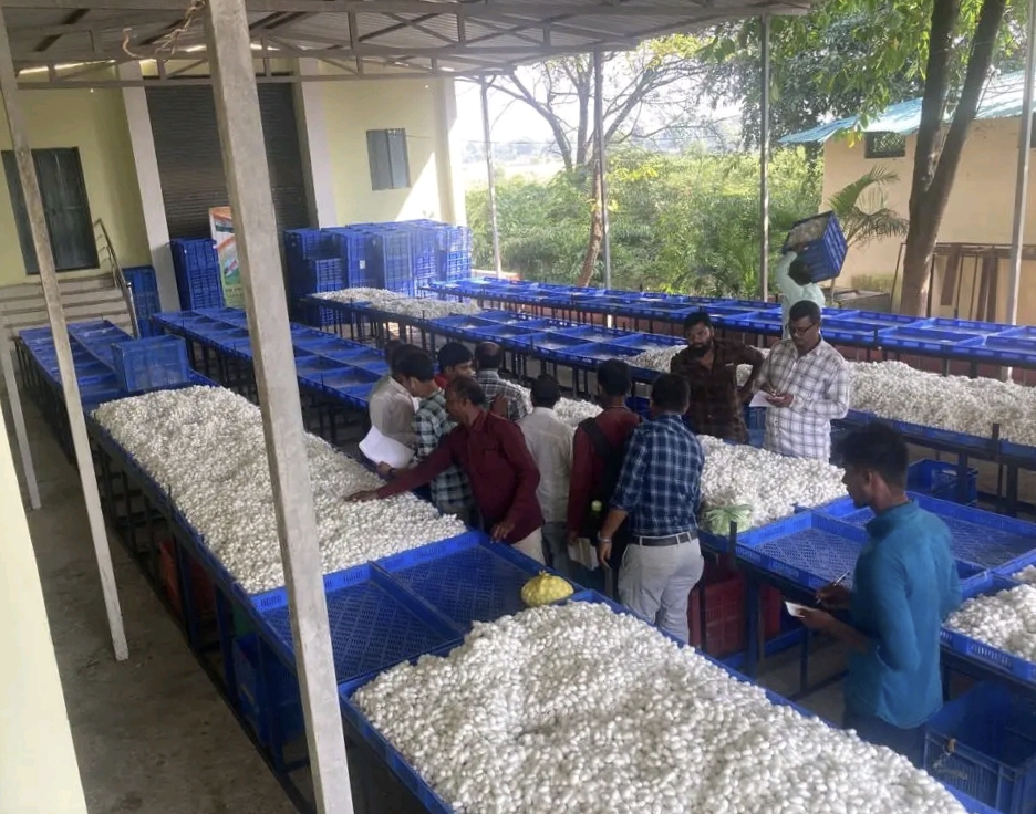 MP FARMERS WOMEN EMPLOYMENT SILK