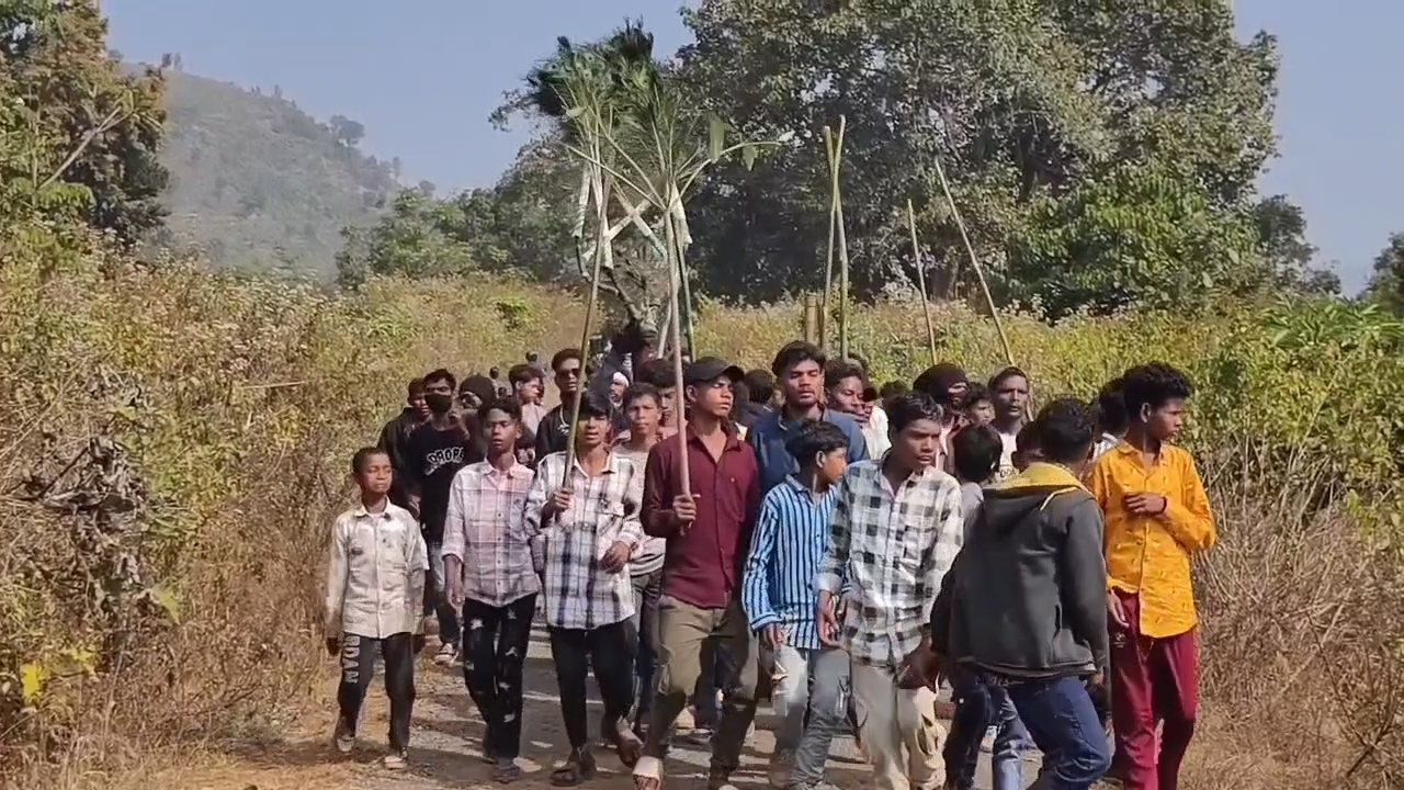 The tribal Kandha community celebrates the Toki Mara festival to appease the Dharanipenu or earth god.