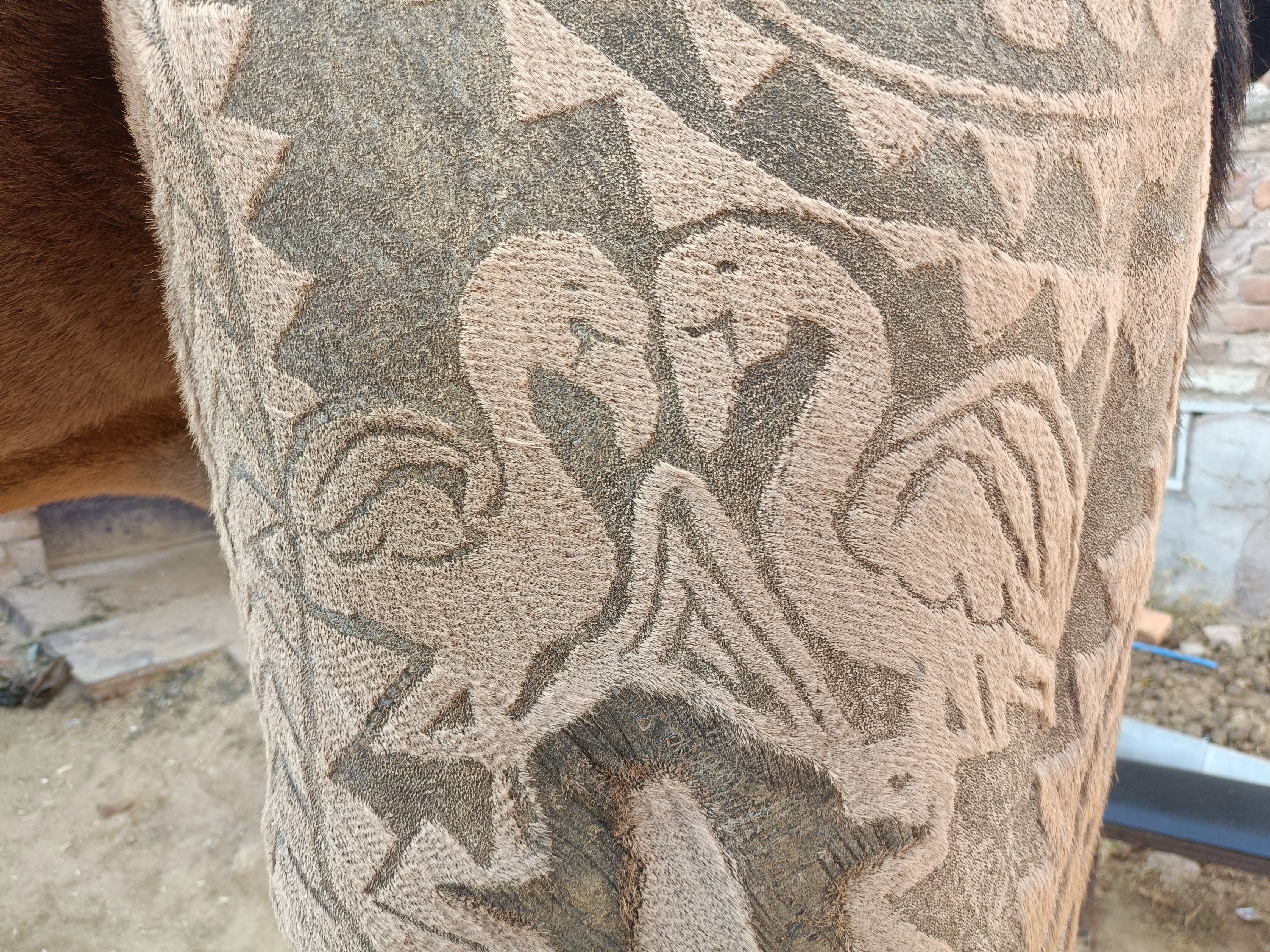 सांभर लेक में आने वाले फ्लेमिंगों को उकेरा