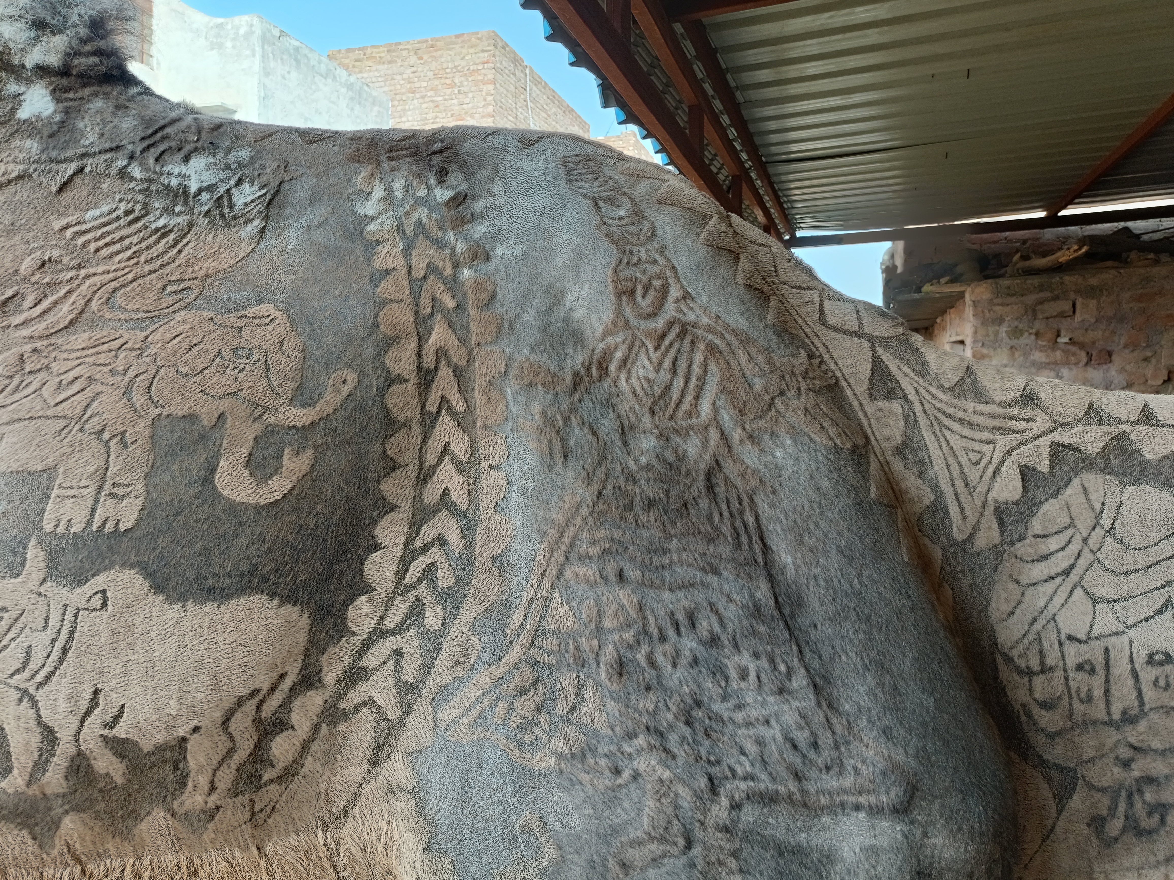 कालबेलिया नृत्य करती महिला की चित्र