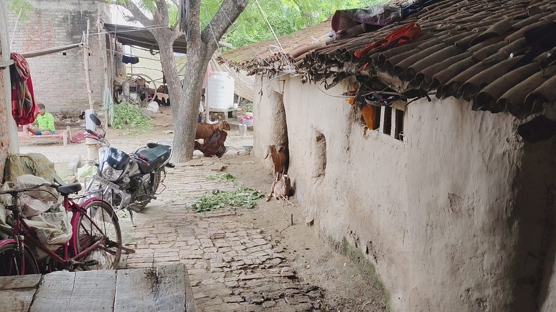 गांवों की संस्कृति से रूबरू हो रहे पर्यटक.