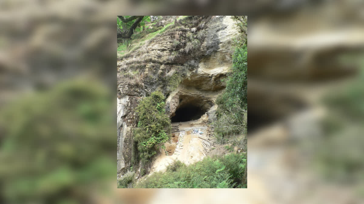 Scientists Explored an Island Cave and Found 1 Million-Year-Old Remnants of a Lost World