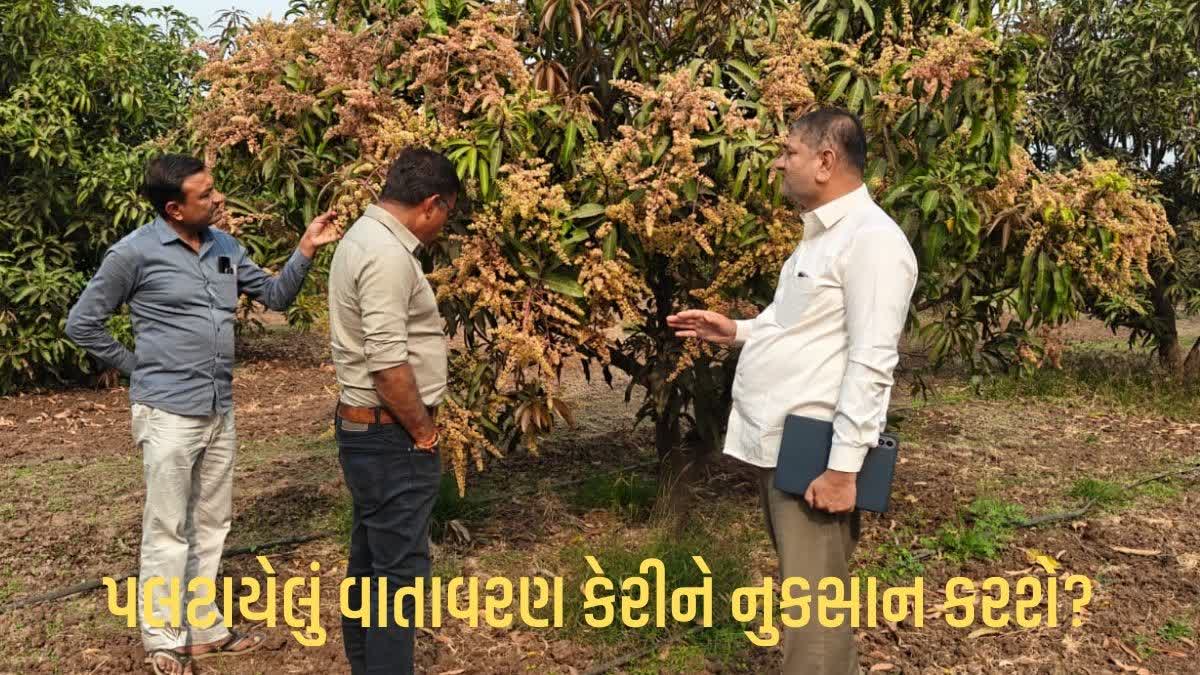 Bhavnagar News ભાવેણુ - ShareChat