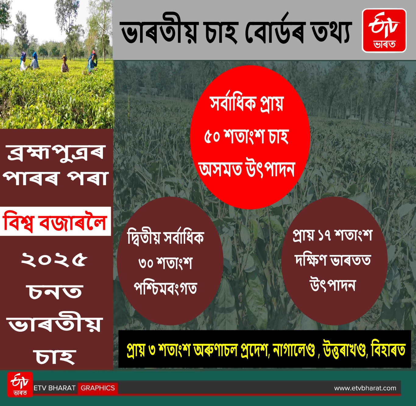 Assam Tea