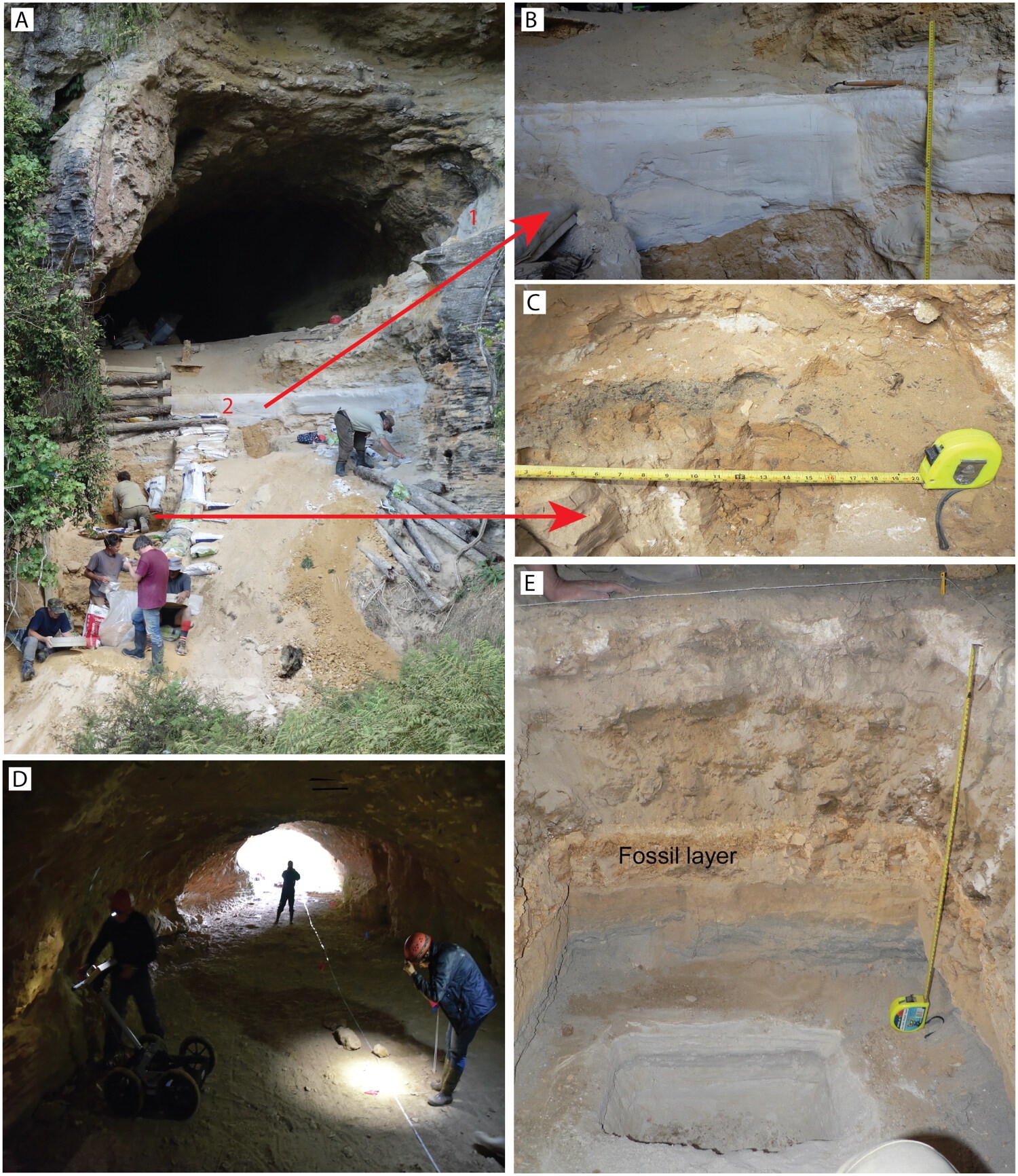Scientists Explored an Island Cave and Found 1 Million-Year-Old Remnants of a Lost World